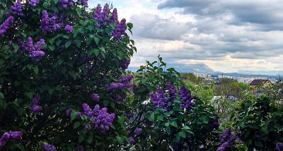 Прикрепленное изображение: IMG_20230510_175328.jpg